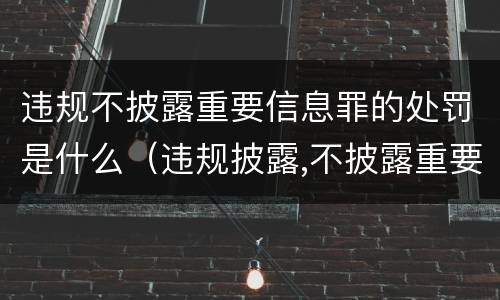 违规不披露重要信息罪的处罚是什么（违规披露,不披露重要信息罪）