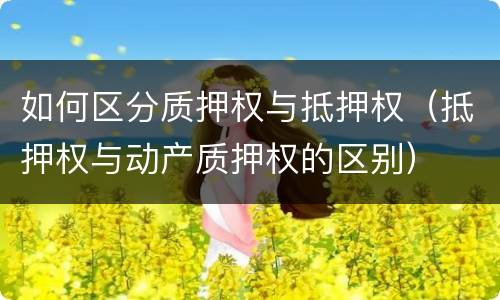 如何区分质押权与抵押权（抵押权与动产质押权的区别）