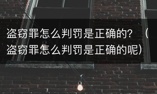 盗窃罪怎么判罚是正确的？（盗窃罪怎么判罚是正确的呢）