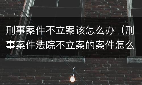 刑事案件不立案该怎么办（刑事案件法院不立案的案件怎么处理）