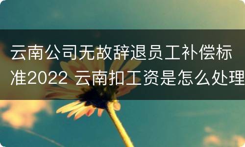 云南公司无故辞退员工补偿标准2022 云南扣工资是怎么处理