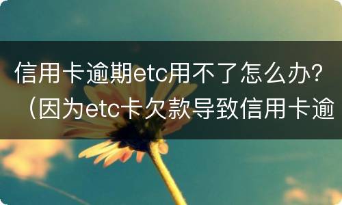 信用卡逾期etc用不了怎么办？（因为etc卡欠款导致信用卡逾期怎么办）