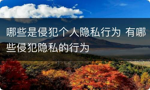 哪些是侵犯个人隐私行为 有哪些侵犯隐私的行为