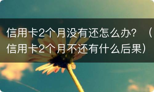信用卡2个月没有还怎么办？（信用卡2个月不还有什么后果）