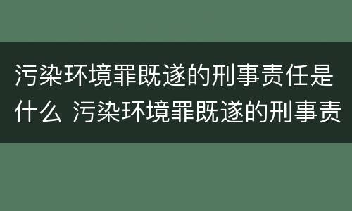污染环境罪既遂的刑事责任是什么 污染环境罪既遂的刑事责任是什么意思