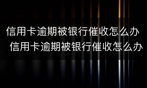 信用卡逾期被银行催收怎么办 信用卡逾期被银行催收怎么办理