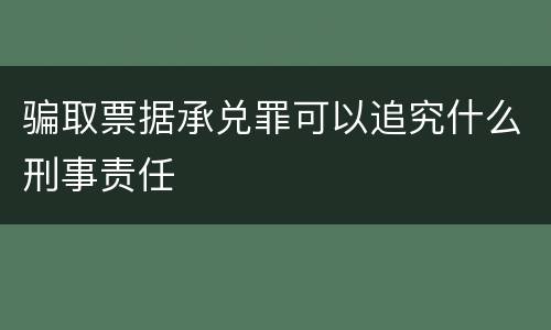 骗取票据承兑罪可以追究什么刑事责任