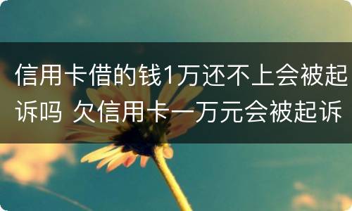 信用卡借的钱1万还不上会被起诉吗 欠信用卡一万元会被起诉吗