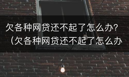 欠各种网贷还不起了怎么办？（欠各种网贷还不起了怎么办呀）