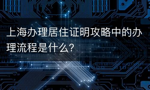上海办理居住证明攻略中的办理流程是什么？