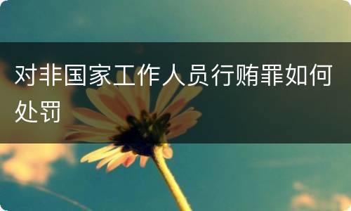 对非国家工作人员行贿罪如何处罚