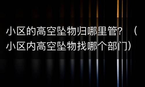 小区的高空坠物归哪里管？（小区内高空坠物找哪个部门）