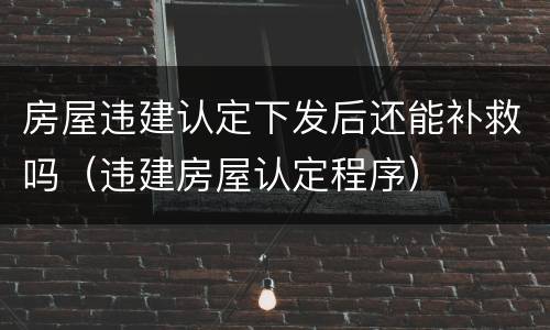 房屋违建认定下发后还能补救吗（违建房屋认定程序）