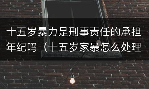 十五岁暴力是刑事责任的承担年纪吗（十五岁家暴怎么处理）