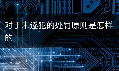 对于未遂犯的处罚原则是怎样的