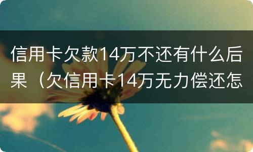 信用卡欠款14万不还有什么后果（欠信用卡14万无力偿还怎么办）
