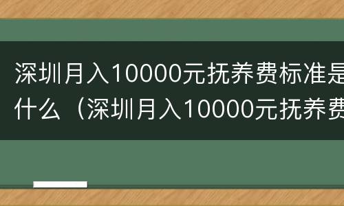 深圳月入10000元抚养费标准是什么（深圳月入10000元抚养费标准是什么样的）