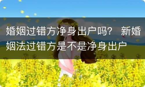 婚姻过错方净身出户吗？ 新婚姻法过错方是不是净身出户
