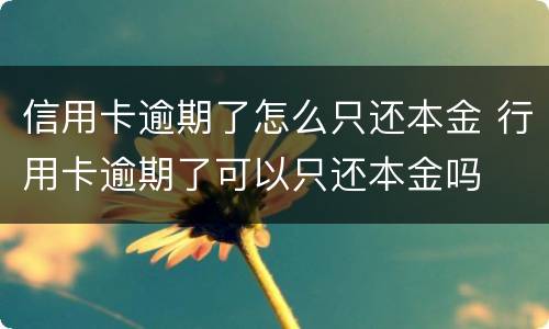 信用卡逾期了怎么只还本金 行用卡逾期了可以只还本金吗