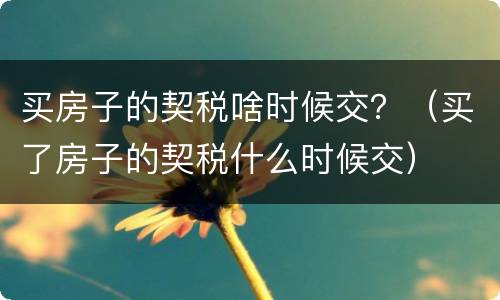 买房子的契税啥时候交？（买了房子的契税什么时候交）