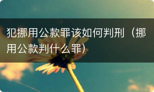 犯挪用公款罪该如何判刑（挪用公款判什么罪）