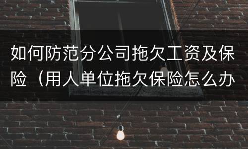 如何防范分公司拖欠工资及保险（用人单位拖欠保险怎么办）