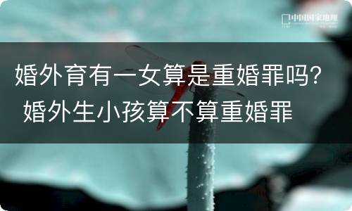 婚外育有一女算是重婚罪吗？ 婚外生小孩算不算重婚罪