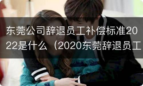 东莞公司辞退员工补偿标准2022是什么（2020东莞辞退员工补偿标准）