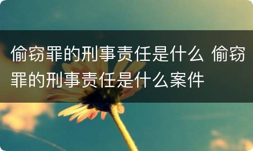 偷窃罪的刑事责任是什么 偷窃罪的刑事责任是什么案件