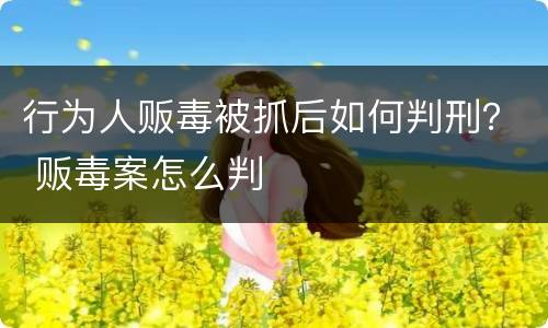 行为人贩毒被抓后如何判刑？ 贩毒案怎么判