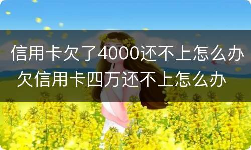 信用卡欠了4000还不上怎么办 欠信用卡四万还不上怎么办