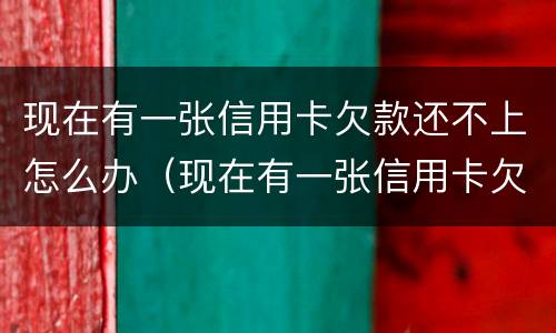 现在有一张信用卡欠款还不上怎么办（现在有一张信用卡欠款还不上怎么办呢）
