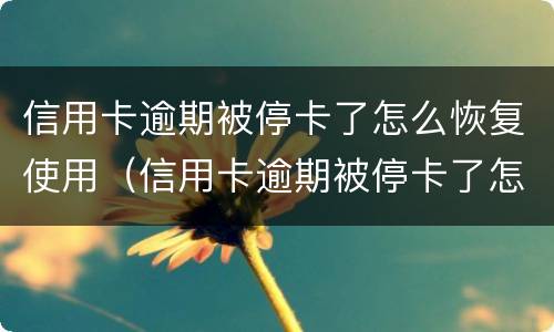 信用卡逾期被停卡了怎么恢复使用（信用卡逾期被停卡了怎么恢复使用手机）