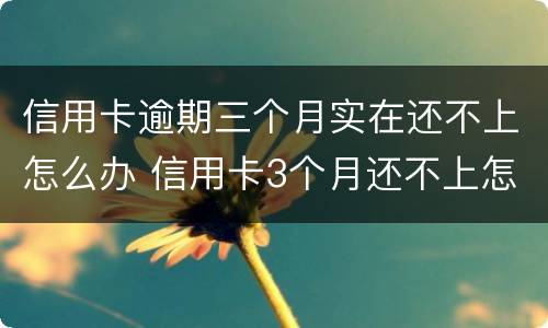 信用卡逾期三个月实在还不上怎么办 信用卡3个月还不上怎么办