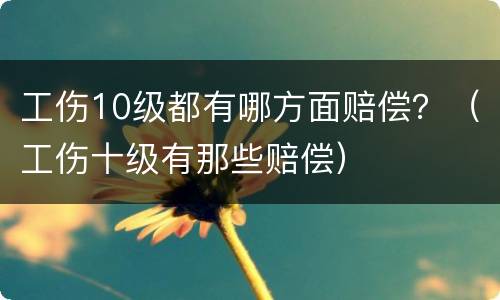 工伤10级都有哪方面赔偿？（工伤十级有那些赔偿）