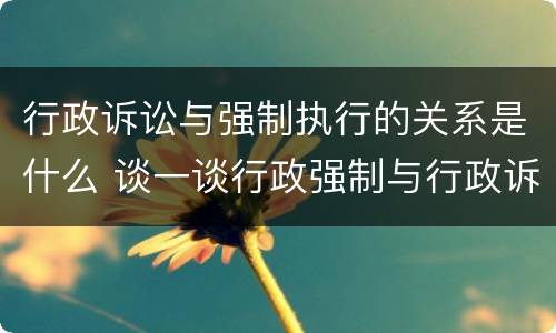 行政诉讼与强制执行的关系是什么 谈一谈行政强制与行政诉讼强制措施的区别