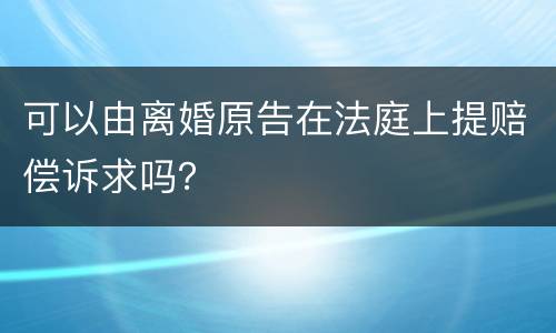 可以由离婚原告在法庭上提赔偿诉求吗？
