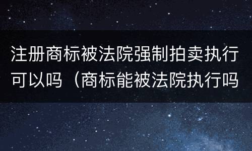 注册商标被法院强制拍卖执行可以吗（商标能被法院执行吗）