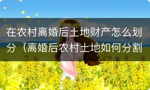 在农村离婚后土地财产怎么划分（离婚后农村土地如何分割）