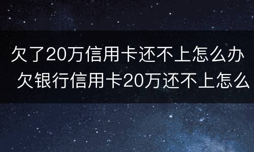 欠了20万信用卡还不上怎么办 欠银行信用卡20万还不上怎么办