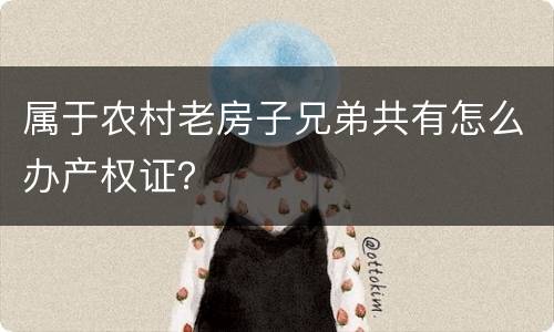 属于农村老房子兄弟共有怎么办产权证？