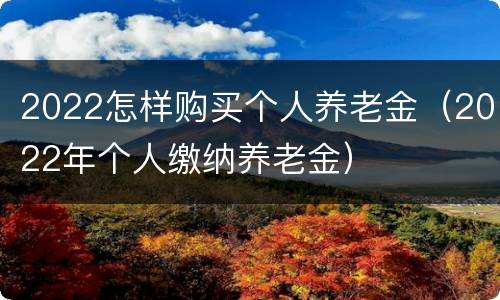 2022怎样购买个人养老金（2022年个人缴纳养老金）