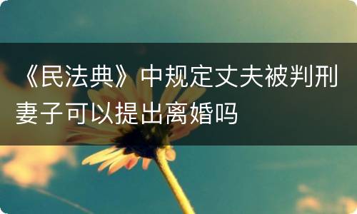 《民法典》中规定丈夫被判刑妻子可以提出离婚吗