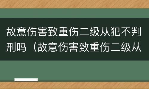 故意伤害致重伤二级从犯不判刑吗（故意伤害致重伤二级从犯不判刑吗怎么判）
