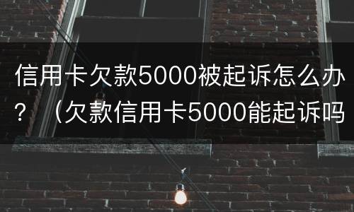 信用卡欠款5000被起诉怎么办？（欠款信用卡5000能起诉吗）