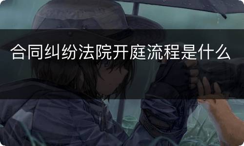 合同纠纷法院开庭流程是什么