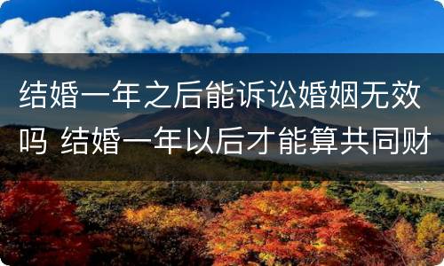 结婚一年之后能诉讼婚姻无效吗 结婚一年以后才能算共同财产吗