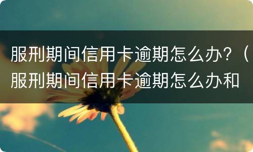 各大银行信用卡逾期政策(各大银行信用卡逾期政策规定)
