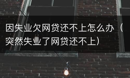 因失业欠网贷还不上怎么办（突然失业了网贷还不上）