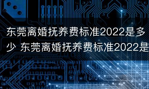 东莞离婚抚养费标准2022是多少 东莞离婚抚养费标准2022是多少钱